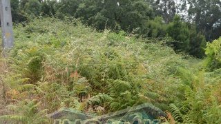 Land for sale in Penafiel, Portugal — €72,000