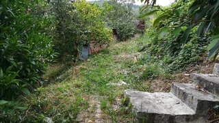 Terreno para venda em Sever do Vouga, Portugal — 15 500 €