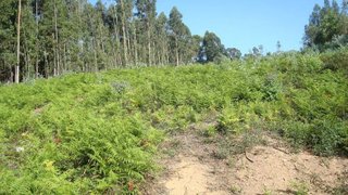 Land for sale in Ovar, Portugal — €236,900