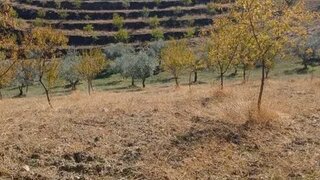 Land for sale in Valpaços, Portugal — €198,000