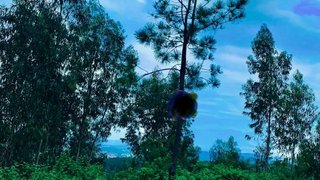 Land for sale in Fafe, Portugal