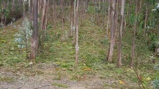 Land for sale in Ponte de Lima, Portugal — €15,000