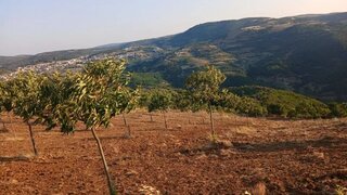 Land for sale in Vinhais, Portugal — €55,900