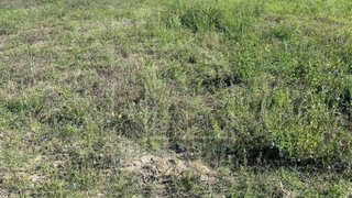 Land for sale in Aveiro, Portugal — €99,500