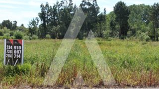 Land for sale in Oliveira do Bairro, Portugal — €33,000