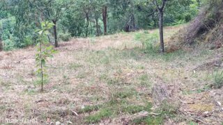 Land for sale in Vieira do Minho, Portugal — €62,000