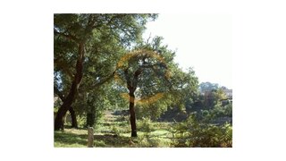 Land for sale in Santa Maria da Feira, Portugal — €35,000