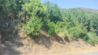 Terreno em Vila Real · 570 000 m² · 330 000 €