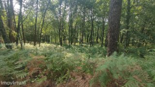 Land for sale in Amares, Portugal — €15,000