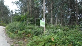 Land for sale in Vila Nova de Famalicão, Portugal — €55,000