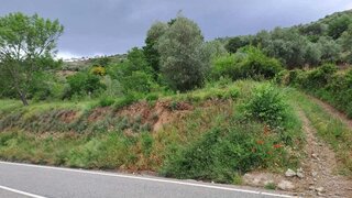 Terreno em Bragança