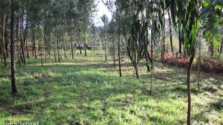 Land for sale in Ponte de Lima, Portugal — €14,000