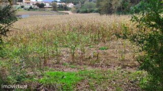 Land for sale in Amares, Portugal — €30,000