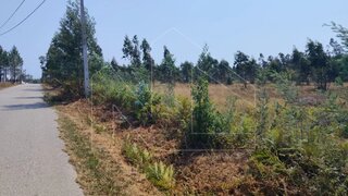 Land for sale in Águeda, Portugal — €99,900