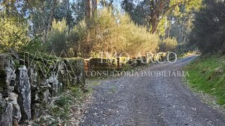 Land for sale in Cabeceiras de Basto, Portugal — €60,000