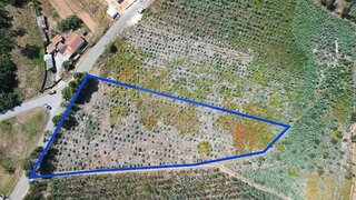 Land for sale in Águeda, Portugal — €120,000