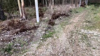 Land for sale in Águeda, Portugal — €55,000