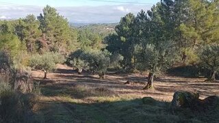 Terreno em Valpaços