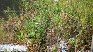 Land for sale in Valongo, Portugal — €49,000