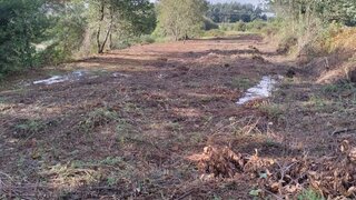 Terreno em Oliveira de Azeméis