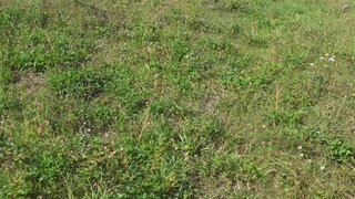Land for sale in Vila Nova de Gaia, Portugal — €59,000