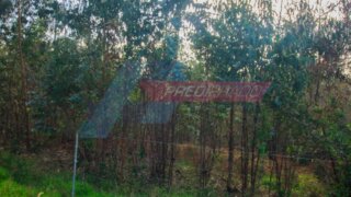Land for sale in Vila Verde, Portugal — €60,000