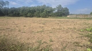Land for sale in Oliveira de Azeméis, Portugal — €160,000
