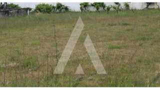 Land for sale in Anadia, Portugal — €43,700