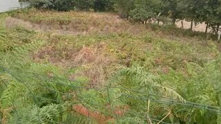 Land for sale in Vila Nova de Famalicão, Portugal — €45,000