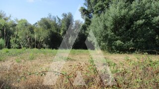 Land for sale in Oliveira do Bairro, Portugal — €375,000