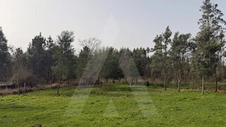 Land for sale in Albergaria-a-Velha, Portugal — €33,800