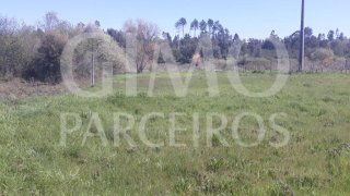 Land for sale in Anadia, Portugal — €40,000