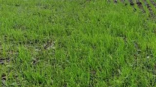 Land for sale in Póvoa de Varzim, Portugal — €50,000