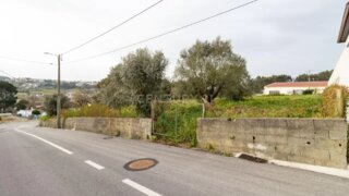 Land for sale in Anadia, Portugal — €264,000