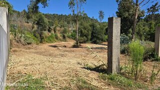 Terreno de 2500 m² em Porto