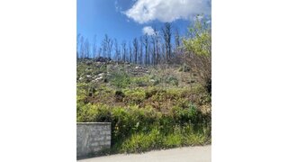 Land for sale in Sever do Vouga, Portugal — €65,000
