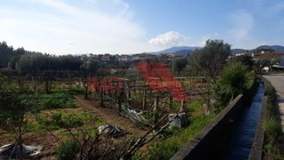 Land for sale in Ponte de Lima, Portugal — €25,000