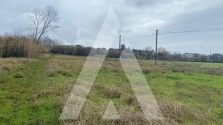 Land for sale in Anadia, Portugal — €65,000