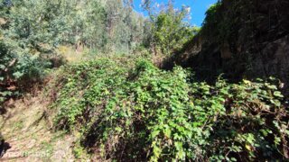 Terreno em Amares