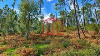 Terreno em Barcelos · 12 500 m² · 29 500 €