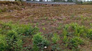 Land for sale in Paredes, Portugal — €93,000