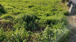 Land for sale in Amares, Portugal — €20,500