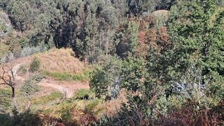 Land for sale in Baião, Portugal — €117,000