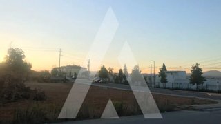 Land for sale in Anadia, Portugal