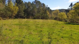 Terreno em Ribeira de Pena