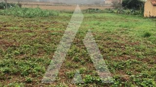 Land for sale in Anadia, Portugal — €32,000