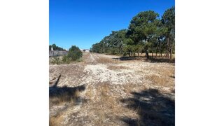 Land for sale in Vagos, Portugal — €70,000