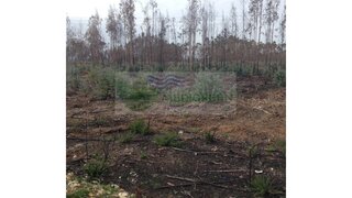 Land for sale in Águeda, Portugal — €75,000