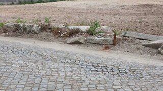 Land for sale in Vila do Conde, Portugal — €250,000