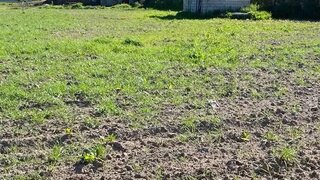Land for sale in Chaves, Portugal — €16,500